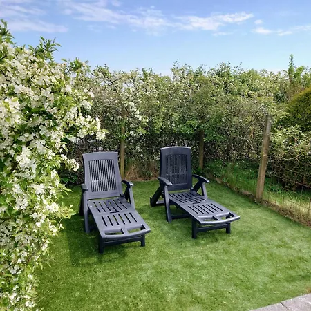 With A View * Roslev